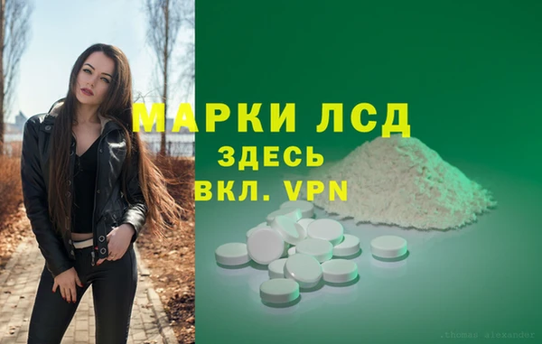 индика Верея