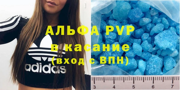 стаф Бородино