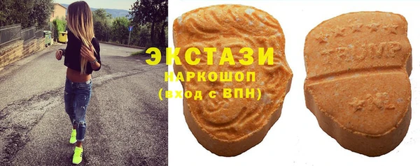 стаф Бородино