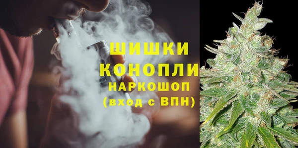 стаф Бородино