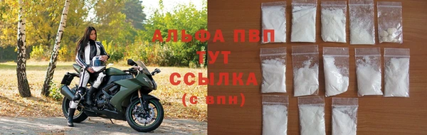 стаф Бородино