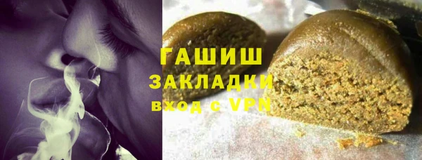 стаф Бородино