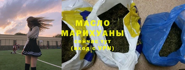 стаф Бородино