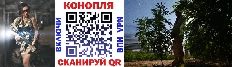 Шишки марихуана MAZAR  kraken ТОР  Весьегонск 